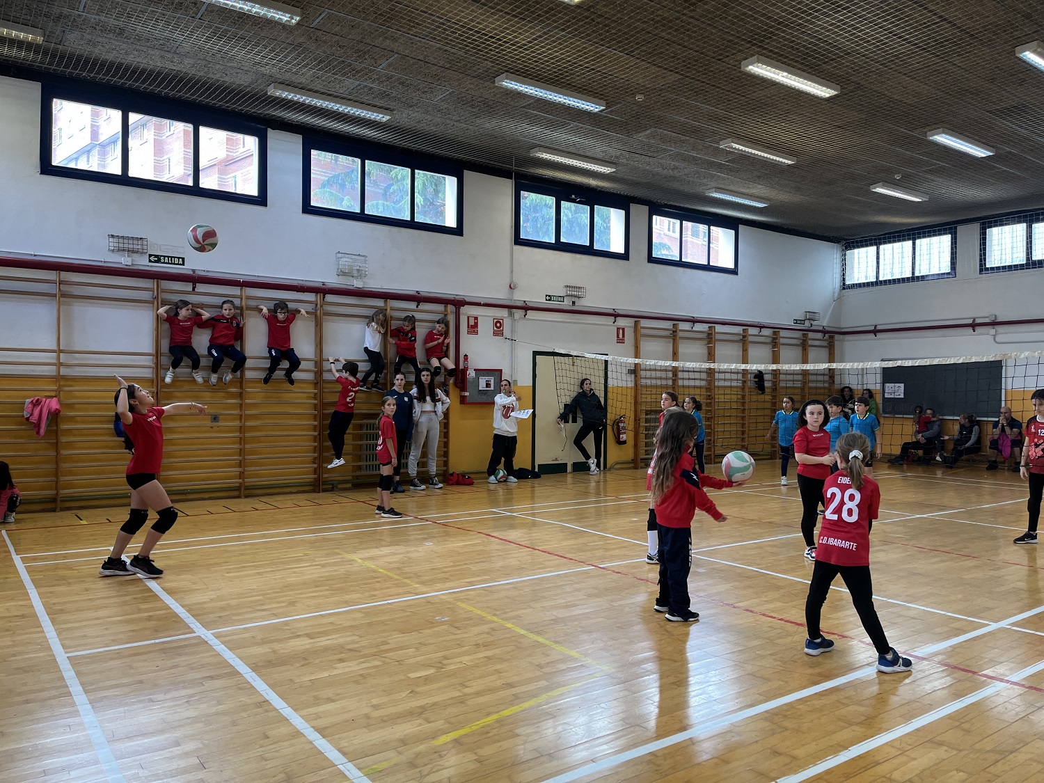 Celebrada la 5ª concentración Minivoley